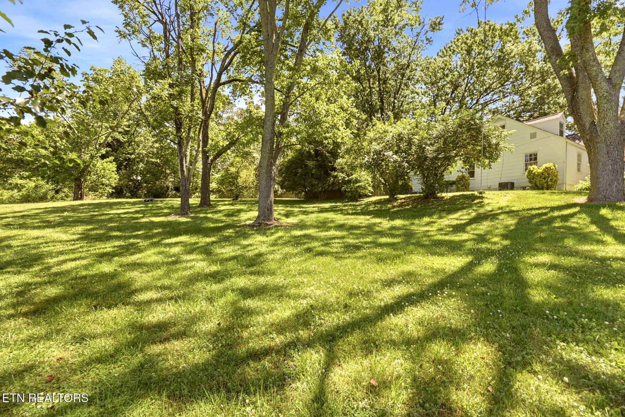 5220 Haynes-Sterchi Road Knoxville, TN 37912 - Photo 45 of 54 Side Yard, Room to build additional home