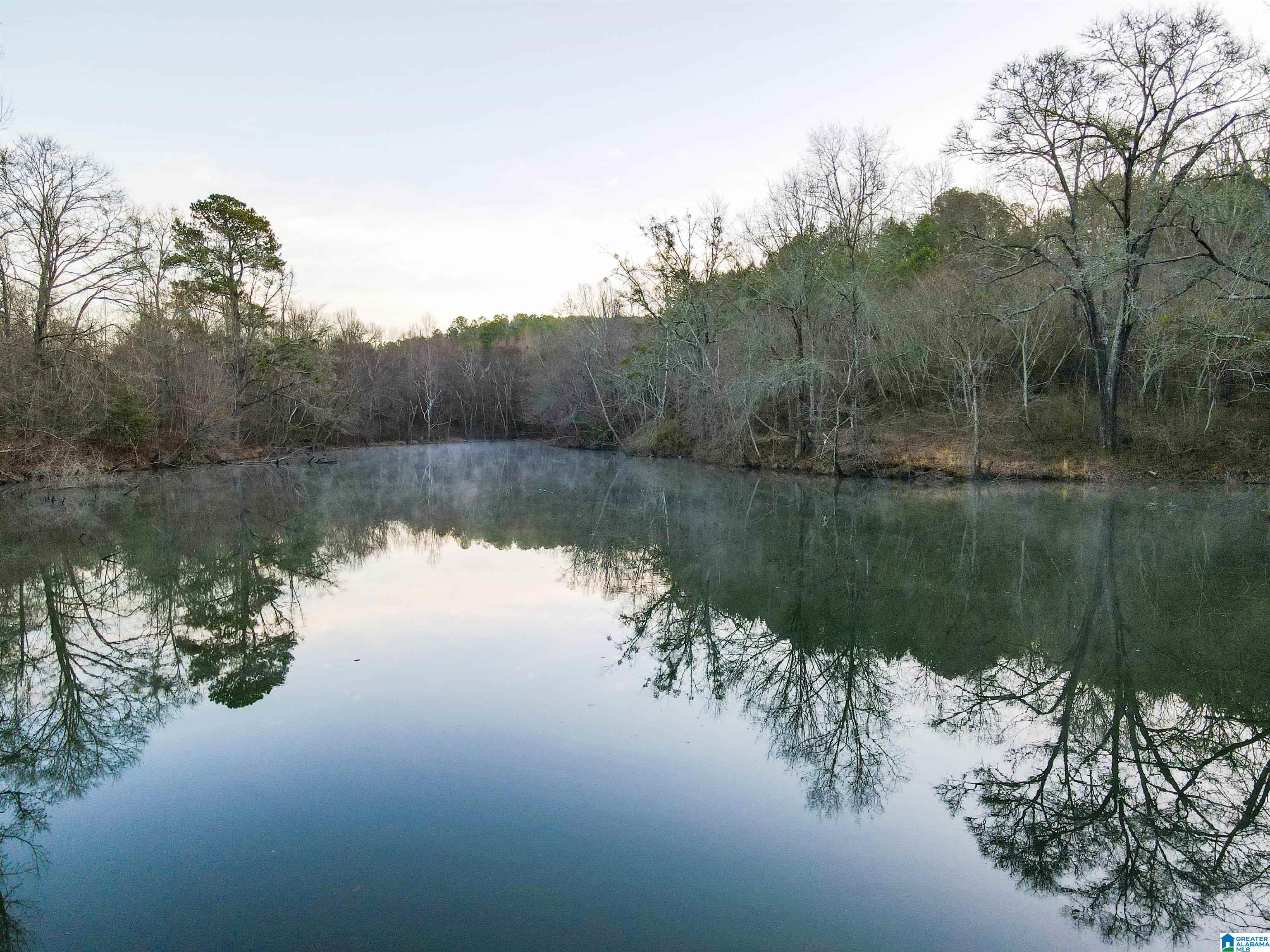 1 Sipsey Road, Unit 1 Jasper, AL 35504 - Photo 20 of 47 Gallery Image 20