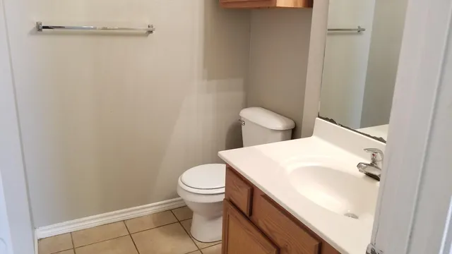 a bathroom with a sink and a toilet