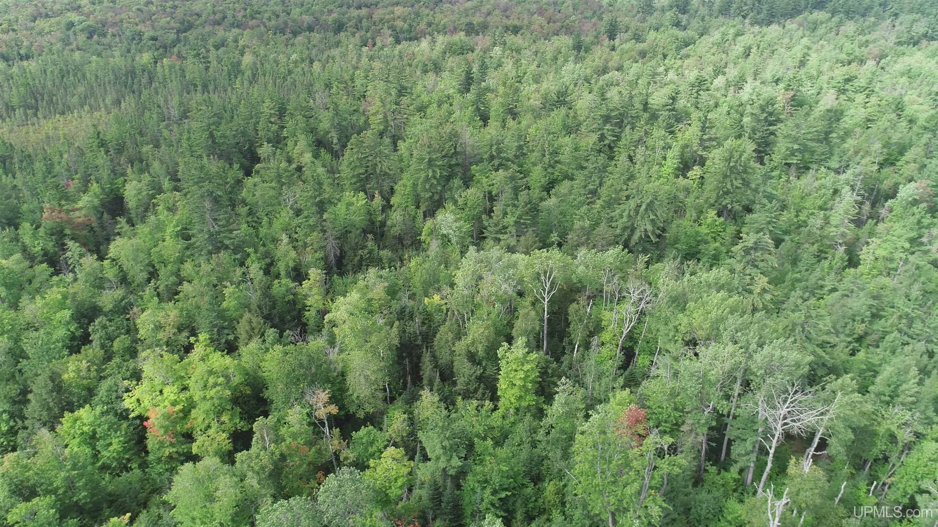23 East 23 Mile Road Pickford, MI 49774 - Photo 31 of 58 Gallery Image 31