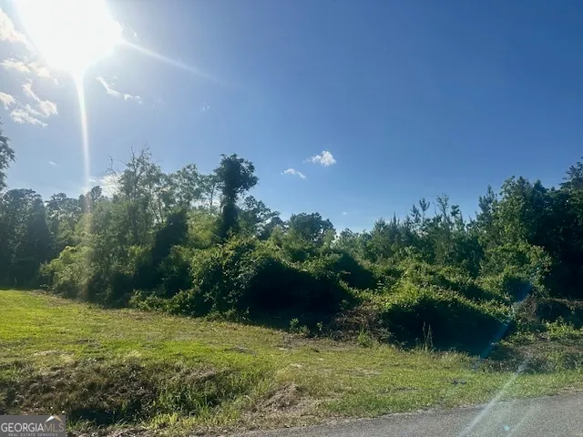 a big yard with lots of green space and plants
