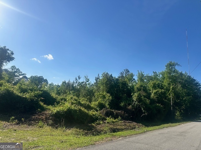 0 Warnell Street Pembroke, GA 31321 - Photo 2 of 5 a backyard of a house with lots of green space