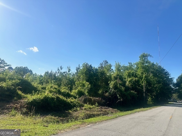 0 Warnell Street Pembroke, GA 31321 - Photo 3 of 5 a view of a garden