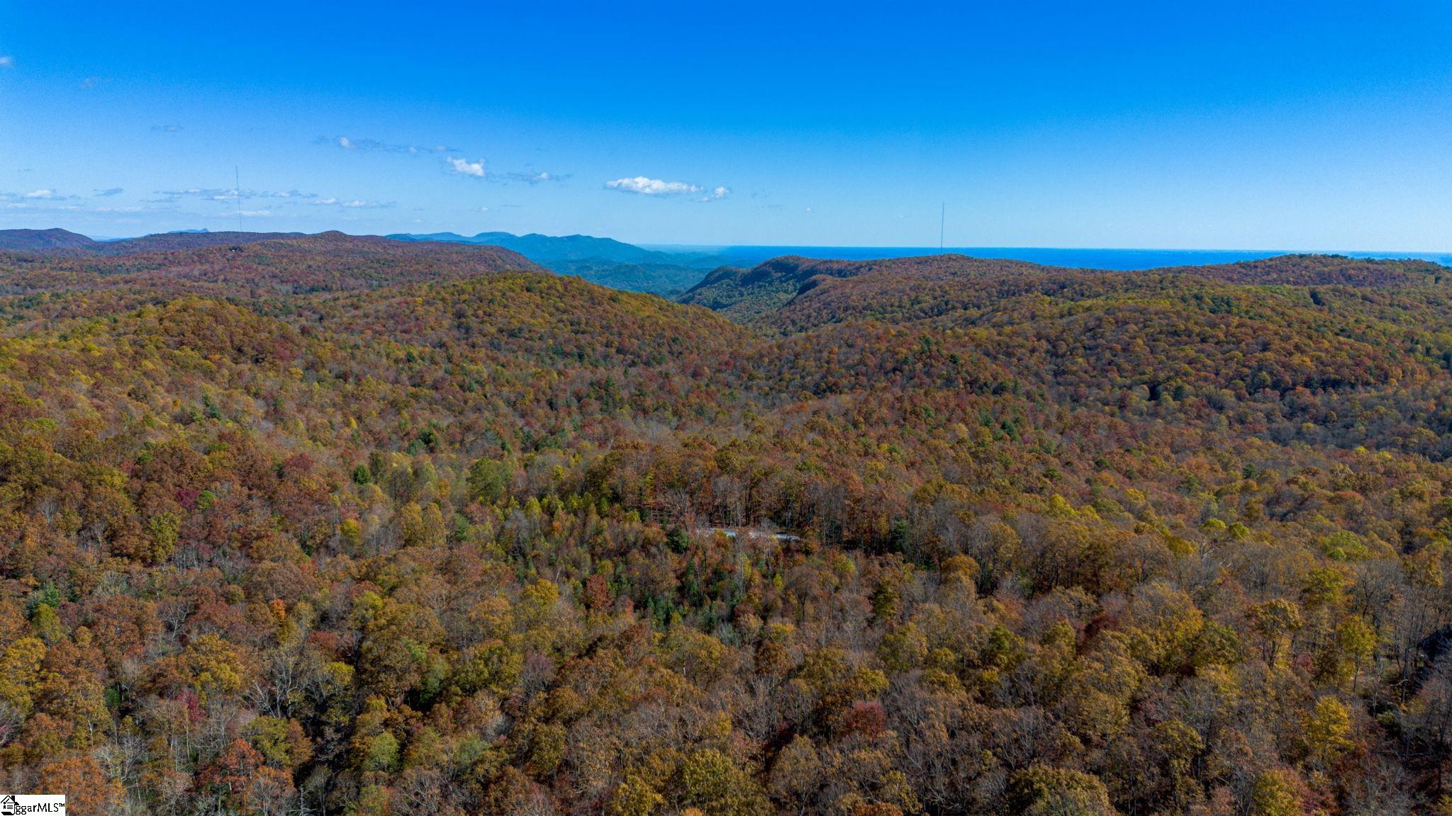 126 Old Springfield Road Cleveland, SC 29635 - Photo 4 of 10