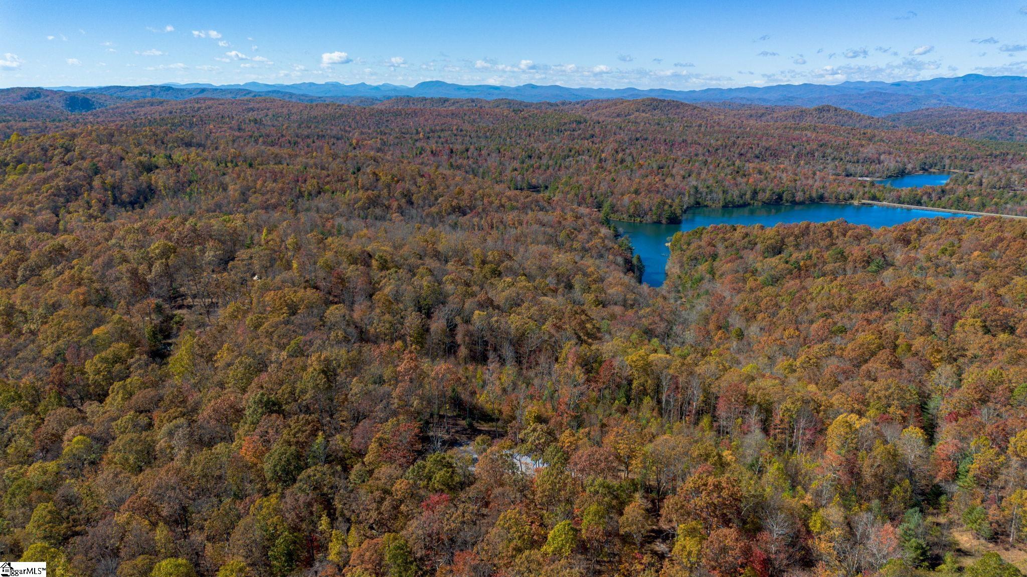126 Old Springfield Road Cleveland, SC 29635 - Photo 7 of 10