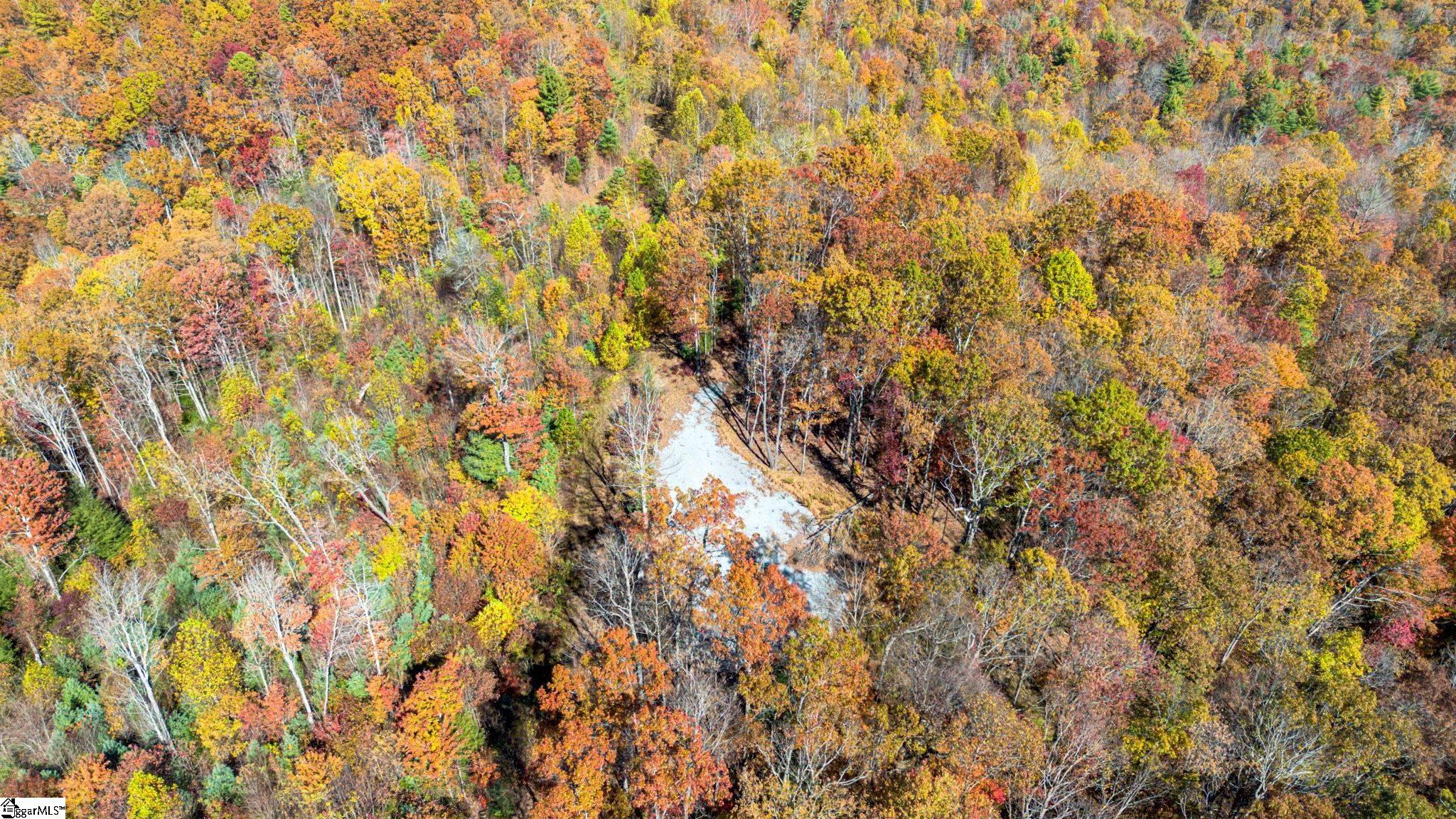 126 Old Springfield Road Cleveland, SC 29635 - Photo 8 of 10