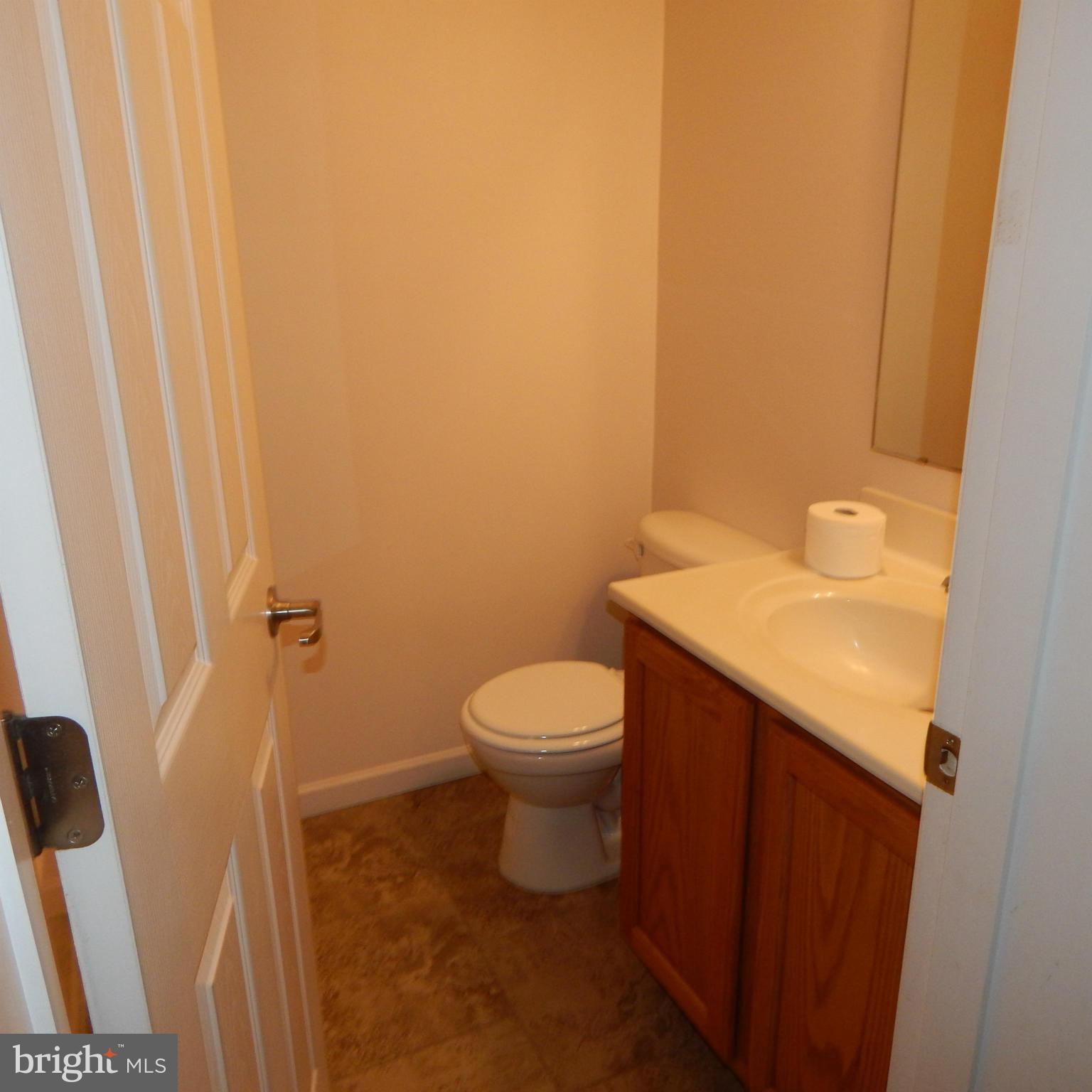 11320 Lynch Road Worton, MD 21678 - Photo 22 of 28 Bath (Master)