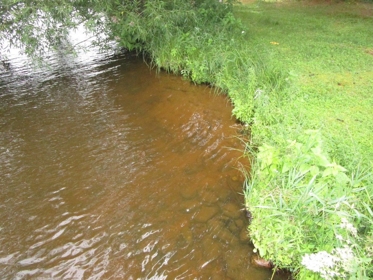 W10196 Cth Road Phillips, WI 54555 - Photo 28 of 36 Gallery Image 28