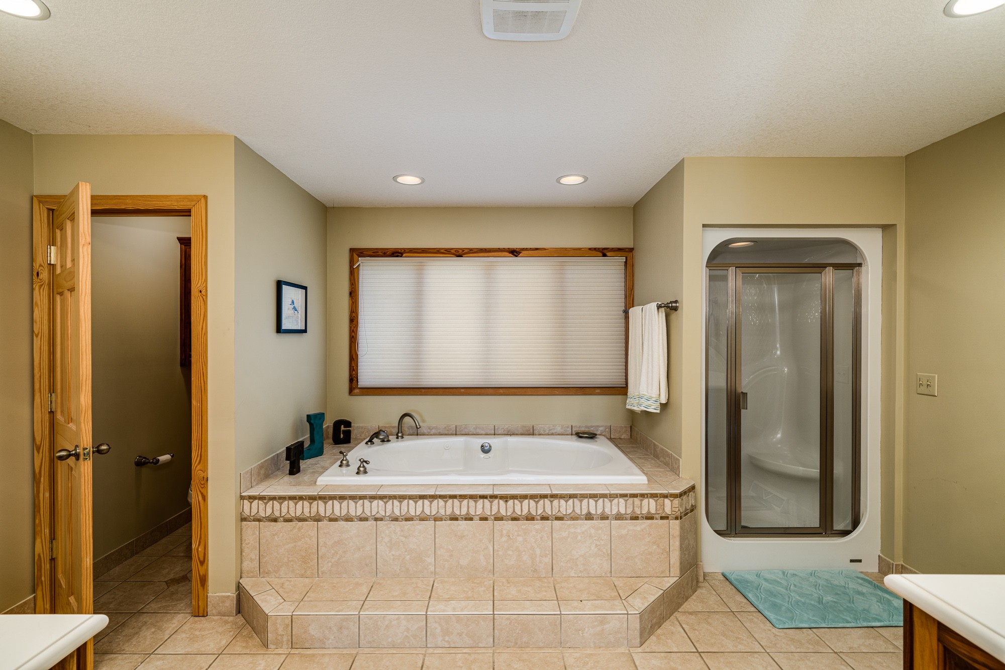 533 Mallard Pointe Road Byrdstown, TN 38549 - Photo 20 of 34 a spacious bathroom with a tub and mirror