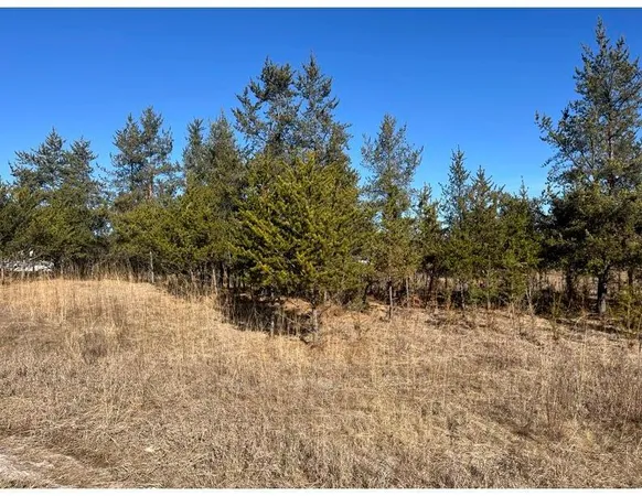 $370,400 | Tbd 1st Avenue, Breezy Point, MN 56472