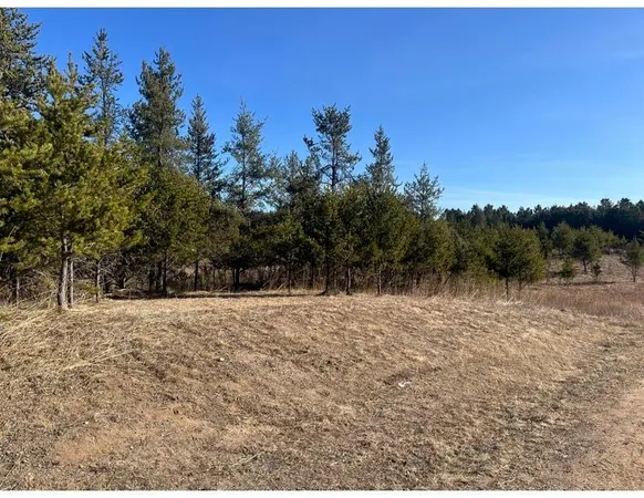$370,400 | Tbd 1st Avenue, Breezy Point, MN 56472