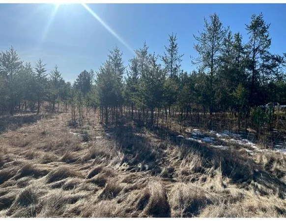 $370,400 | Tbd 1st Avenue, Breezy Point, MN 56472