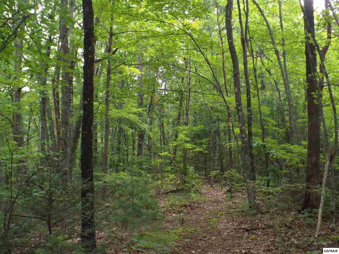 0 Huskey Grove Road Sevierville, TN 37876 - Photo 1 of 11