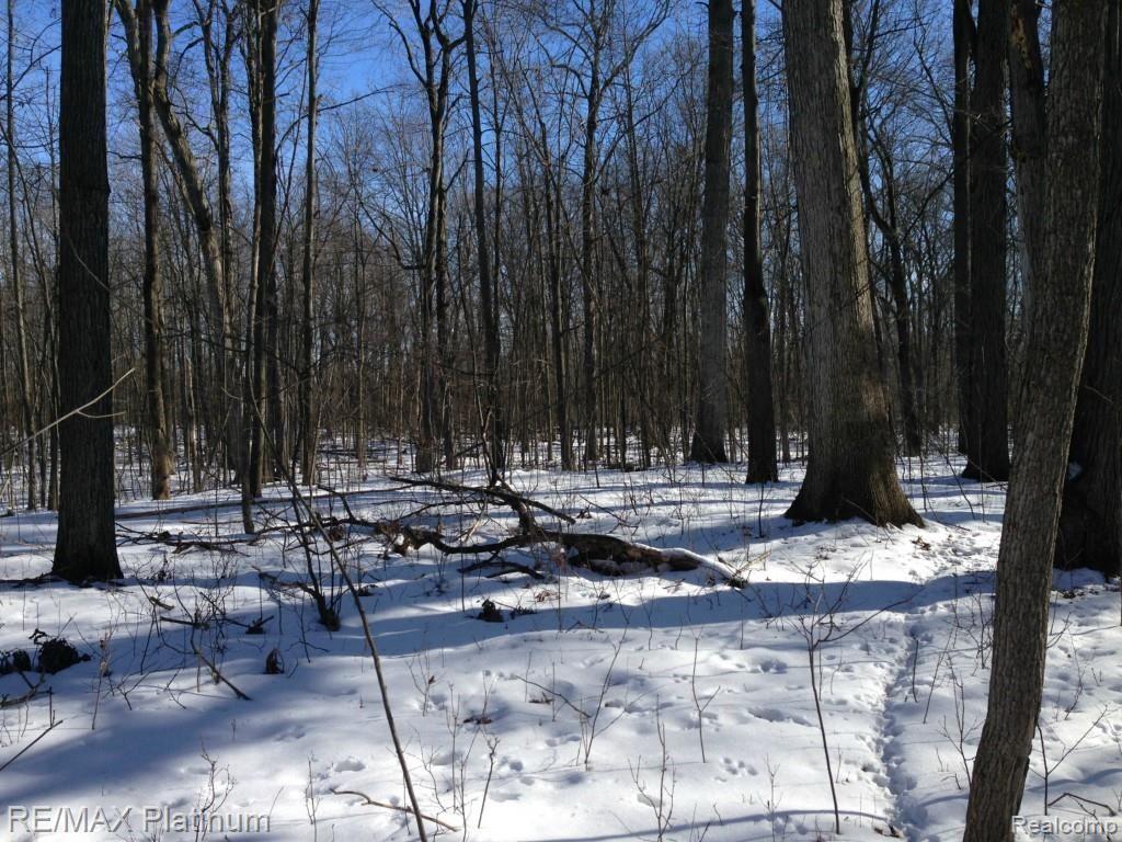 Par A Wiggins Road Howell, MI 48855 - Photo 8 of 11 IMG_1690.jpg