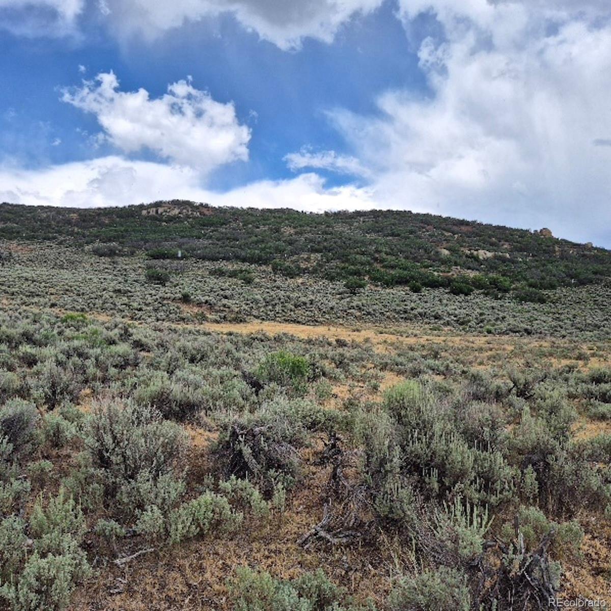 0 Harrison Creek Road Collbran, CO 81624 - Photo 16 of 40 Gallery Image 16