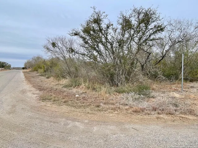 a view of a dry yard with trees