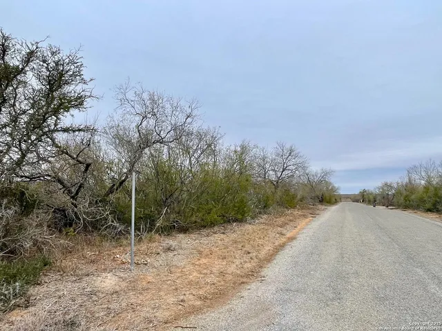 a view of a dry yard with trees in back