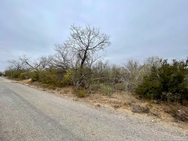 a view of a yard with a tree