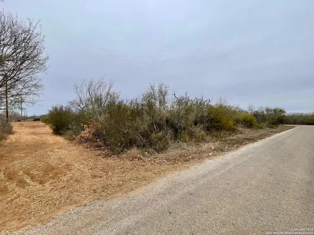 a view of a dry yard with trees