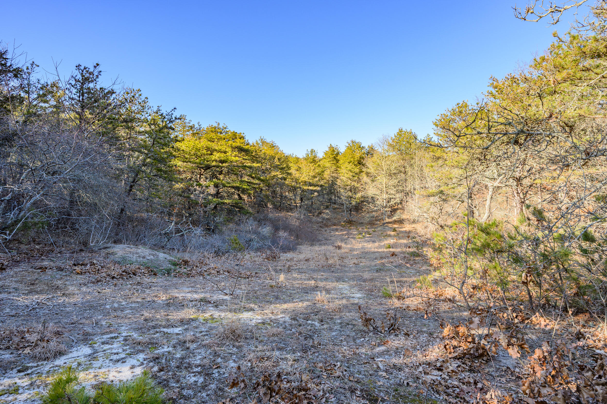 13 Whitmanville Road Truro, MA 02666 - Photo 47 of 65 DSC_9339