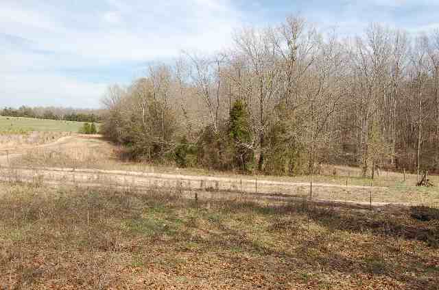 2117 Riverbend Road Woodruff, SC 29388 - Photo 1 of 8