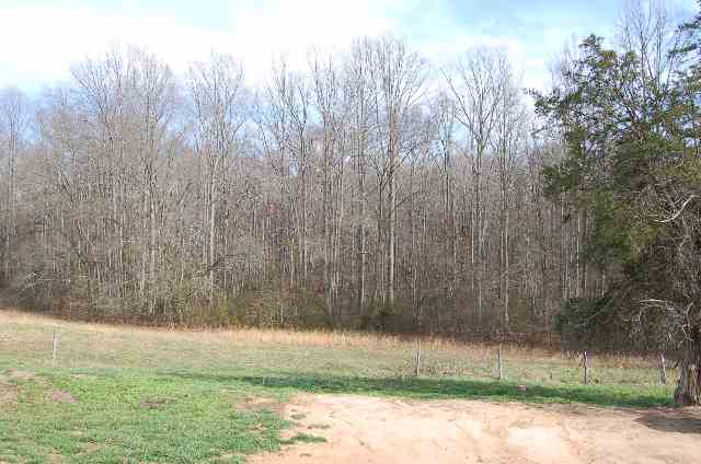 2117 Riverbend Road Woodruff, SC 29388 - Photo 2 of 8