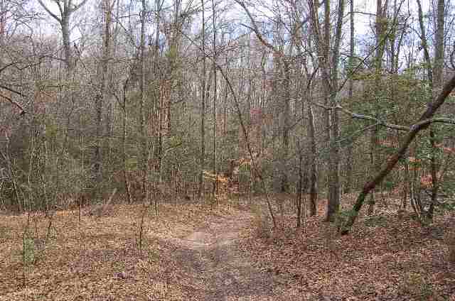 2117 Riverbend Road Woodruff, SC 29388 - Photo 4 of 8