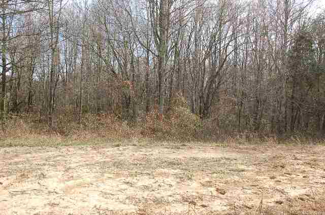 2117 Riverbend Road Woodruff, SC 29388 - Photo 5 of 8
