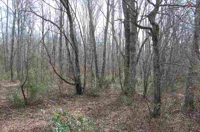 2117 Riverbend Road Woodruff, SC 29388 - Photo 7 of 8