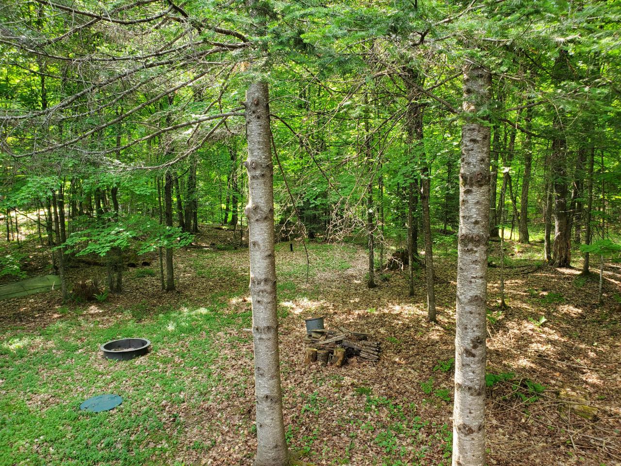 3819 Silver Birch Road Conover, WI 54519 - Photo 4 of 30 Gallery Image 4