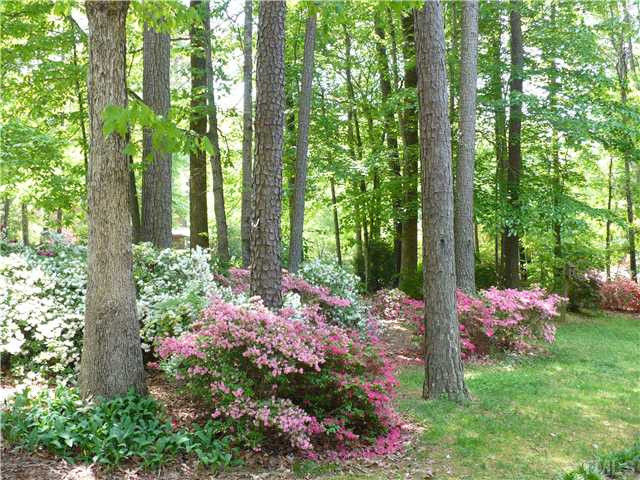 8633 Langtree Lane Raleigh, NC 27613 - Photo 9 of 12 a view of a backyard with potted plants and large trees