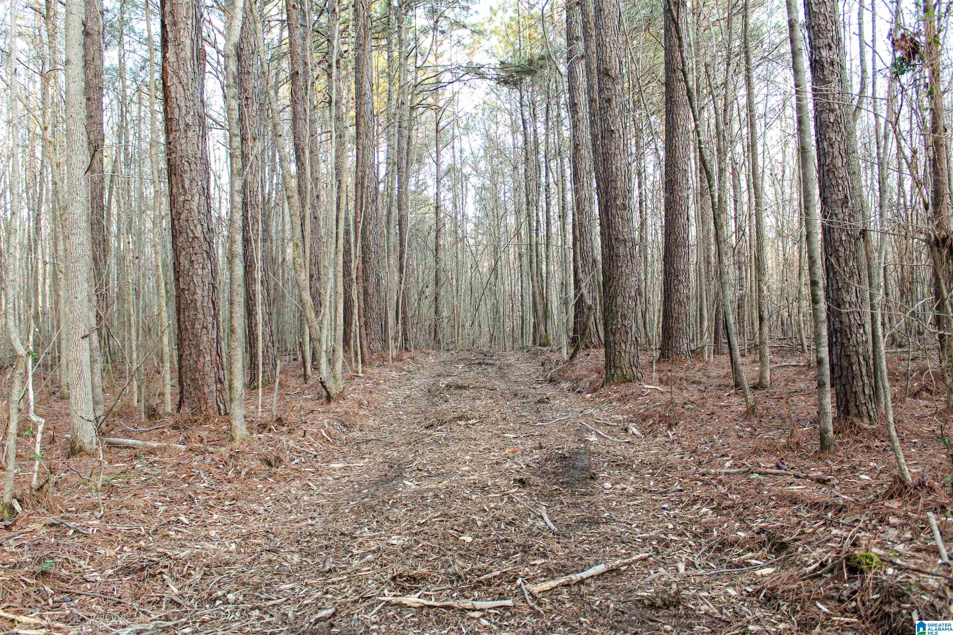 0 Parsons Loop Road Mulga, AL 35118 - Photo 9 of 38
