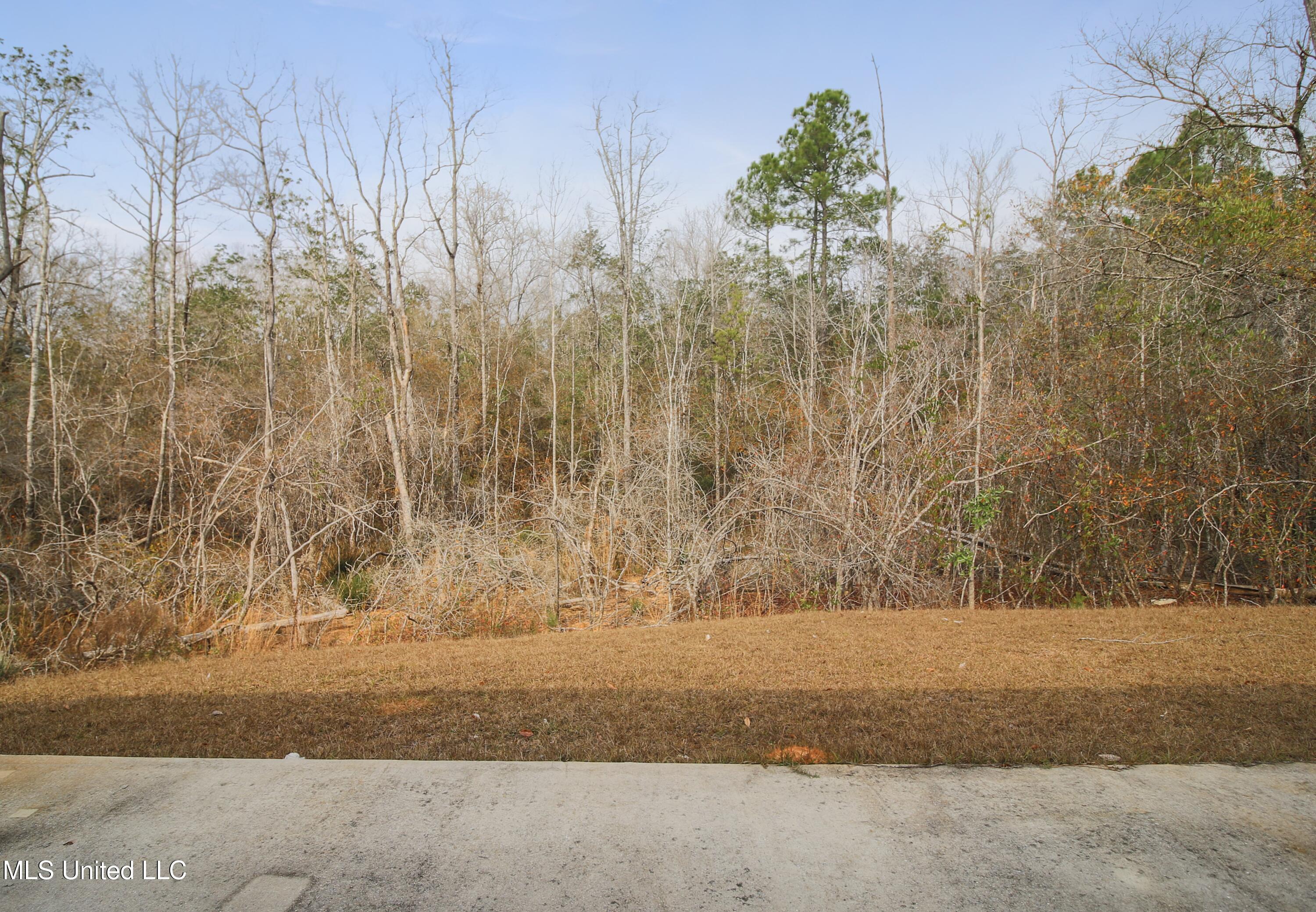 20 Sugarloaf Lane Perkinston, MS 39573 - Photo 20 of 22 IMG_8076