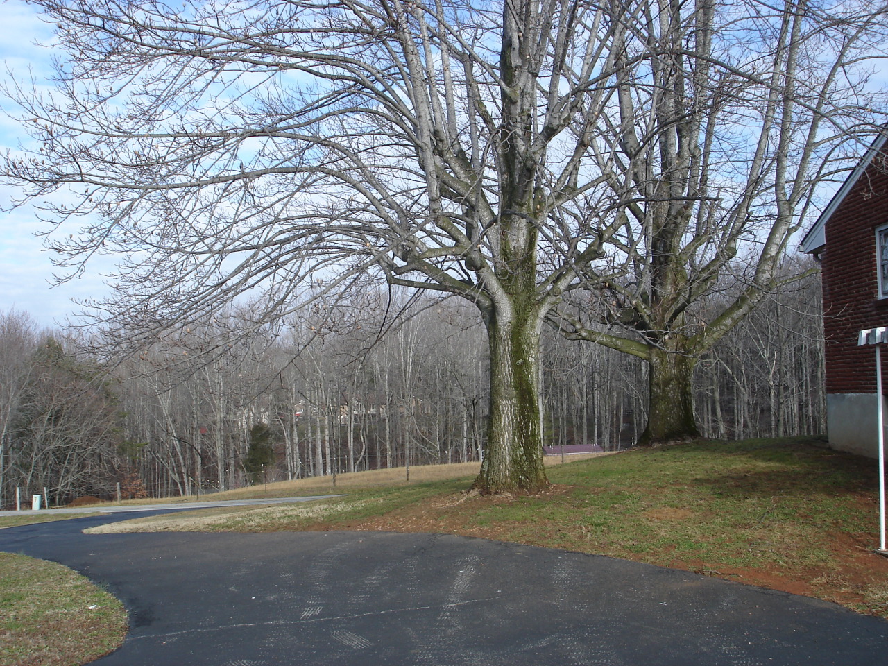 8720 Edwardsville Road Hardy, VA 24101 - Photo 9 of 10 Side yard
