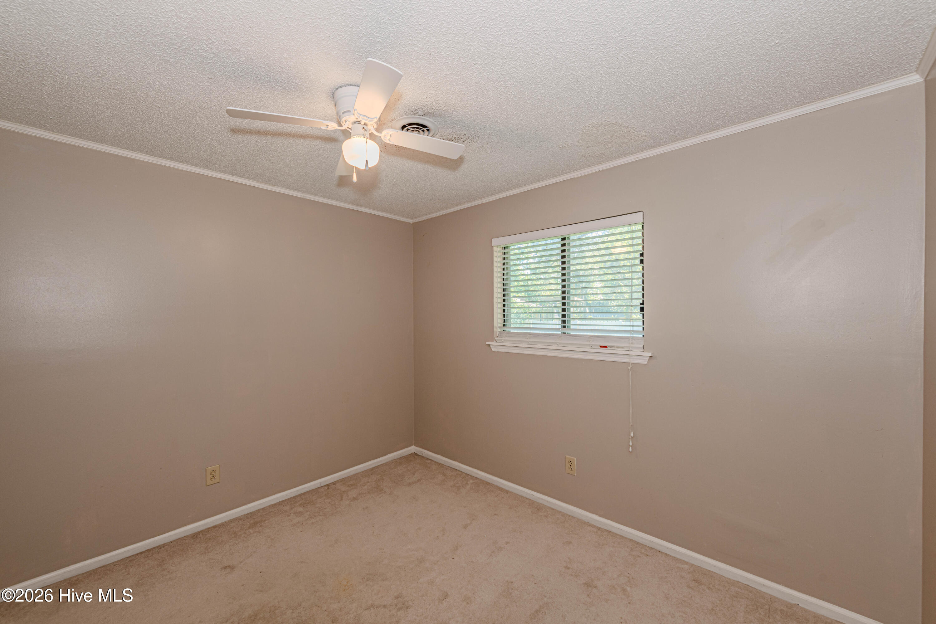 800 Mill River Road Jacksonville, NC 28540 - Photo 32 of 60 Bedroom 3