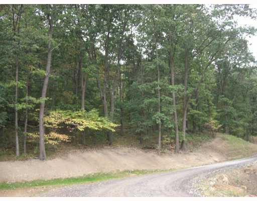 Lot 101 Dobson Road Mars, PA 16046 - Photo 1 of 4 Exterior Front.