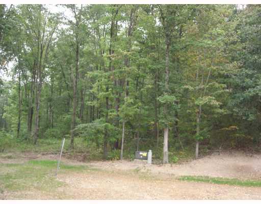 Lot 101 Dobson Road Mars, PA 16046 - Photo 2 of 4 Other.