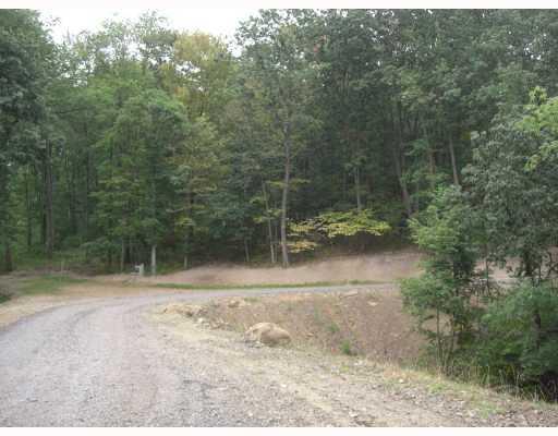 Lot 101 Dobson Road Mars, PA 16046 - Photo 3 of 4 Other.