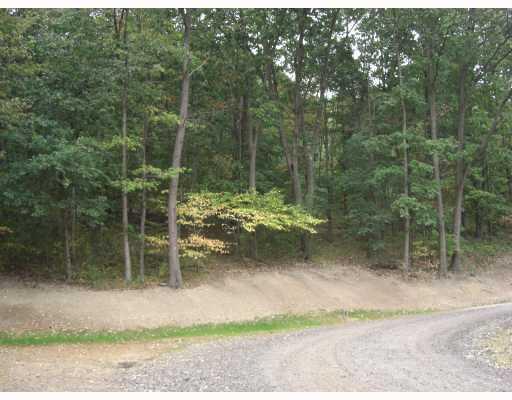 Lot 101 Dobson Road Mars, PA 16046 - Photo 4 of 4 Other.