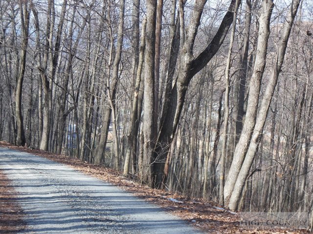 Lot #3 Mitchell Mountain Road Sparta, NC 28675 - Photo 9 of 9 Gallery Image 9