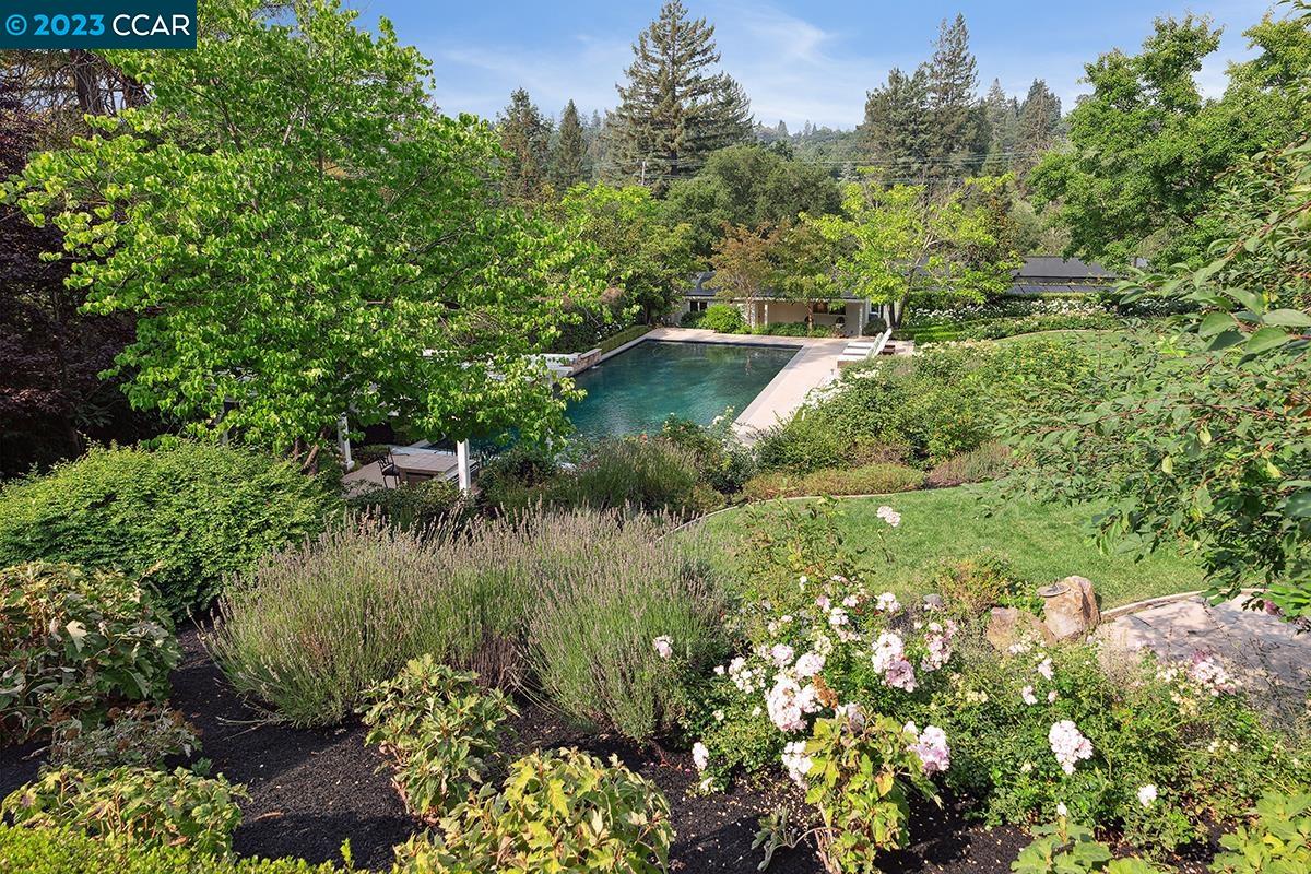 Undisclosed Address Orinda, CA 94563 - Photo 12 of 53 a view of a garden with a lake