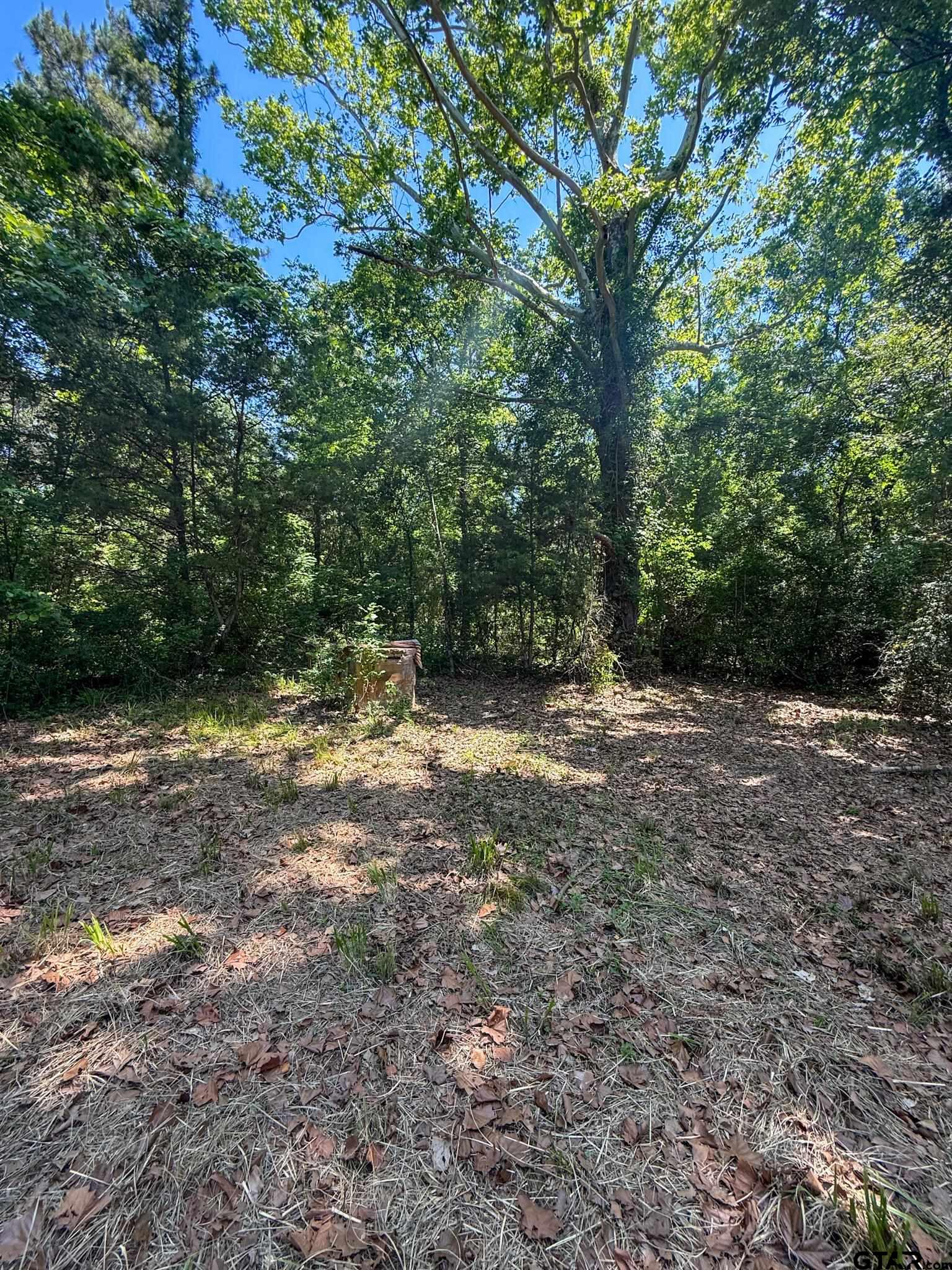1329 C R 2112 Rusk, TX 75785 - Photo 3 of 13 a view of outdoor space and yard