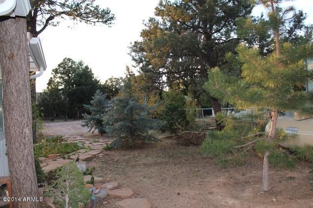 3575 Quail Run Overgaard, AZ 85933 - Photo 11 of 16 Yard1