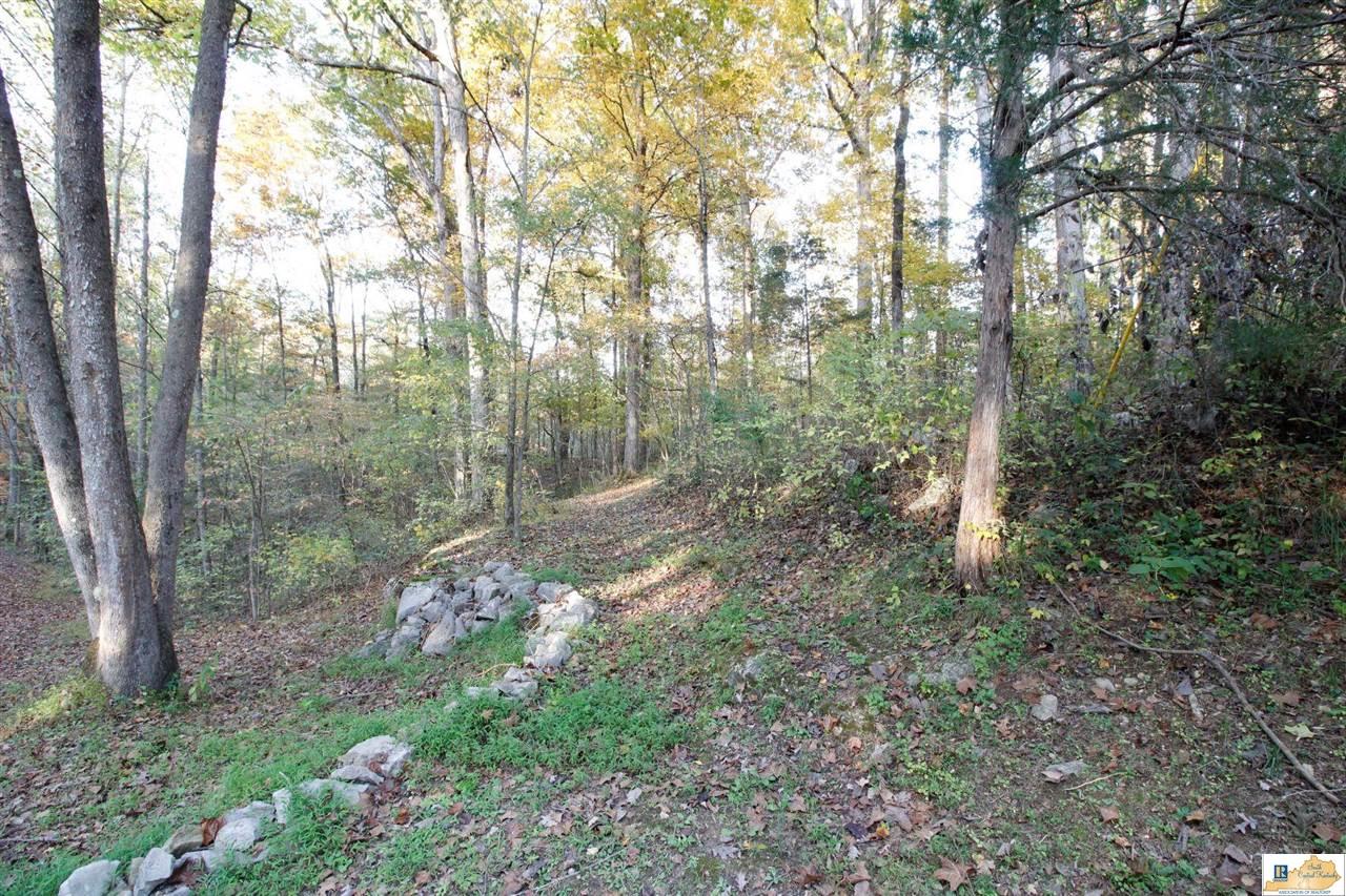 Lot#16-17 Riherd Estates Road Park City, KY 42160 - Photo 1 of 1 Gallery Image 1