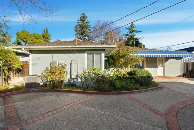 a view of a park with potted plants