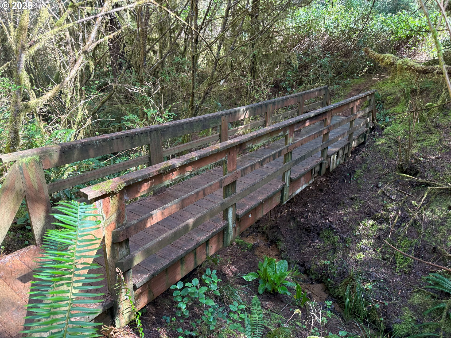 83606 Clear Lake Road Florence, OR 97439 - Photo 41 of 48 Lake Access