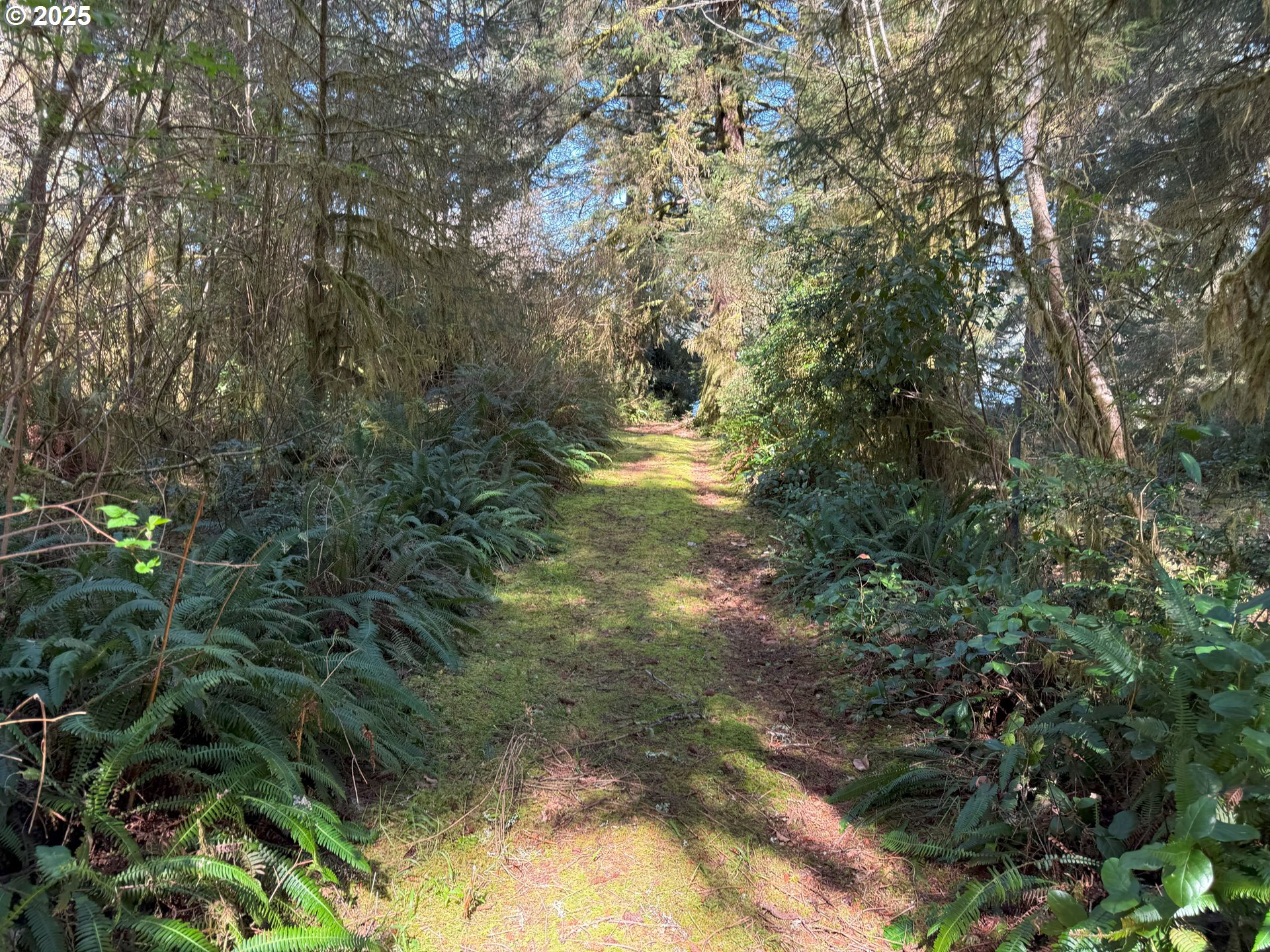 83606 Clear Lake Road Florence, OR 97439 - Photo 42 of 48 Lake Access