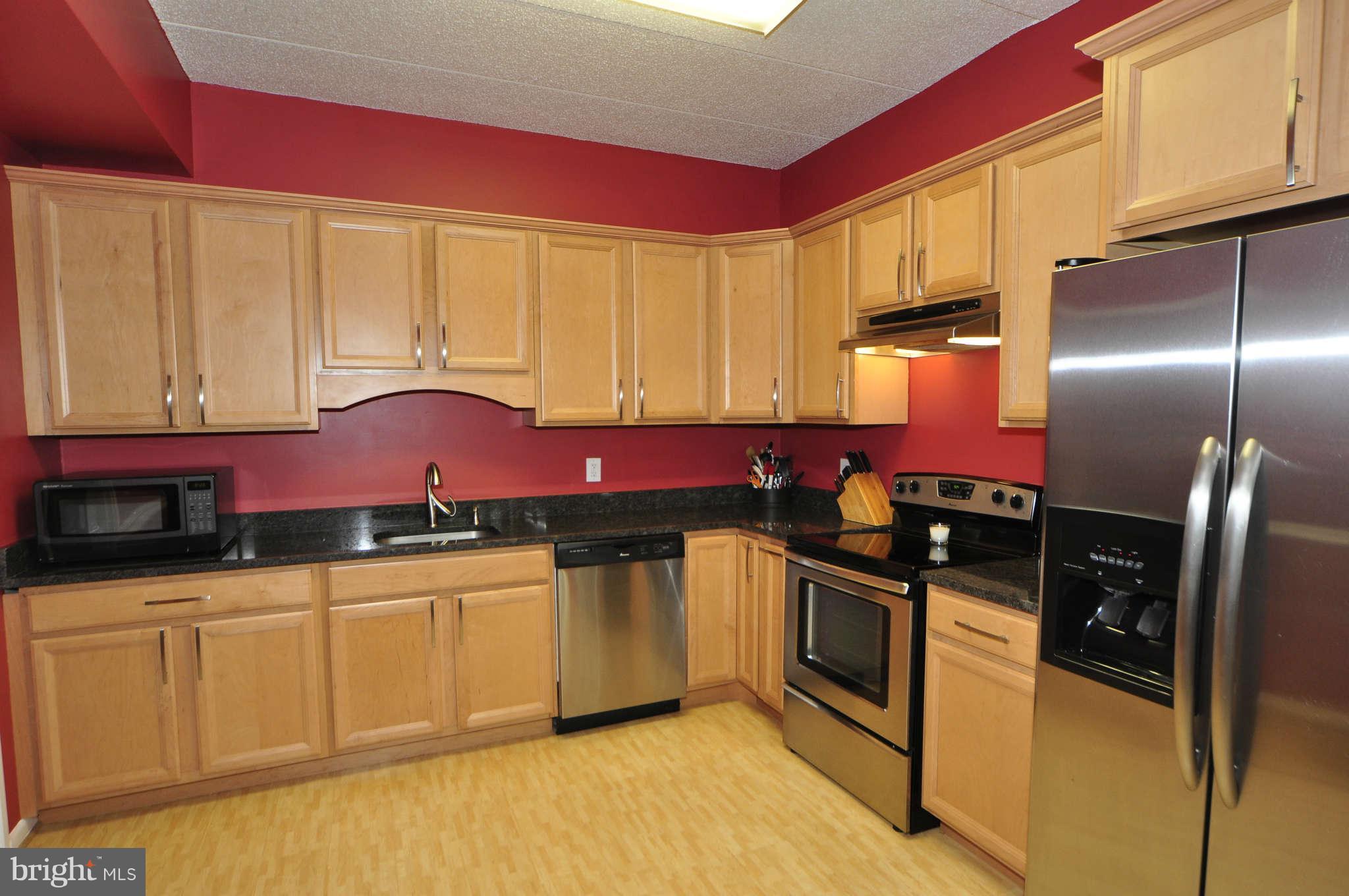 2102 Green Watch Way, Unit 200 Reston, VA 20191 - Photo 1 of 19 Kitchen
