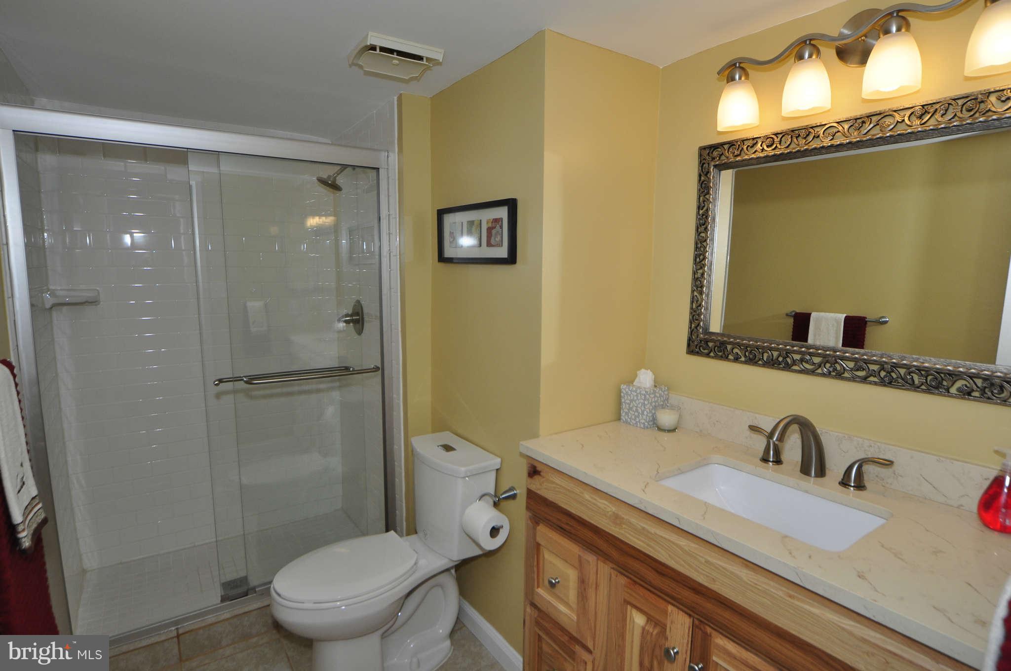2102 Green Watch Way, Unit 200 Reston, VA 20191 - Photo 11 of 19 Bath (Master)