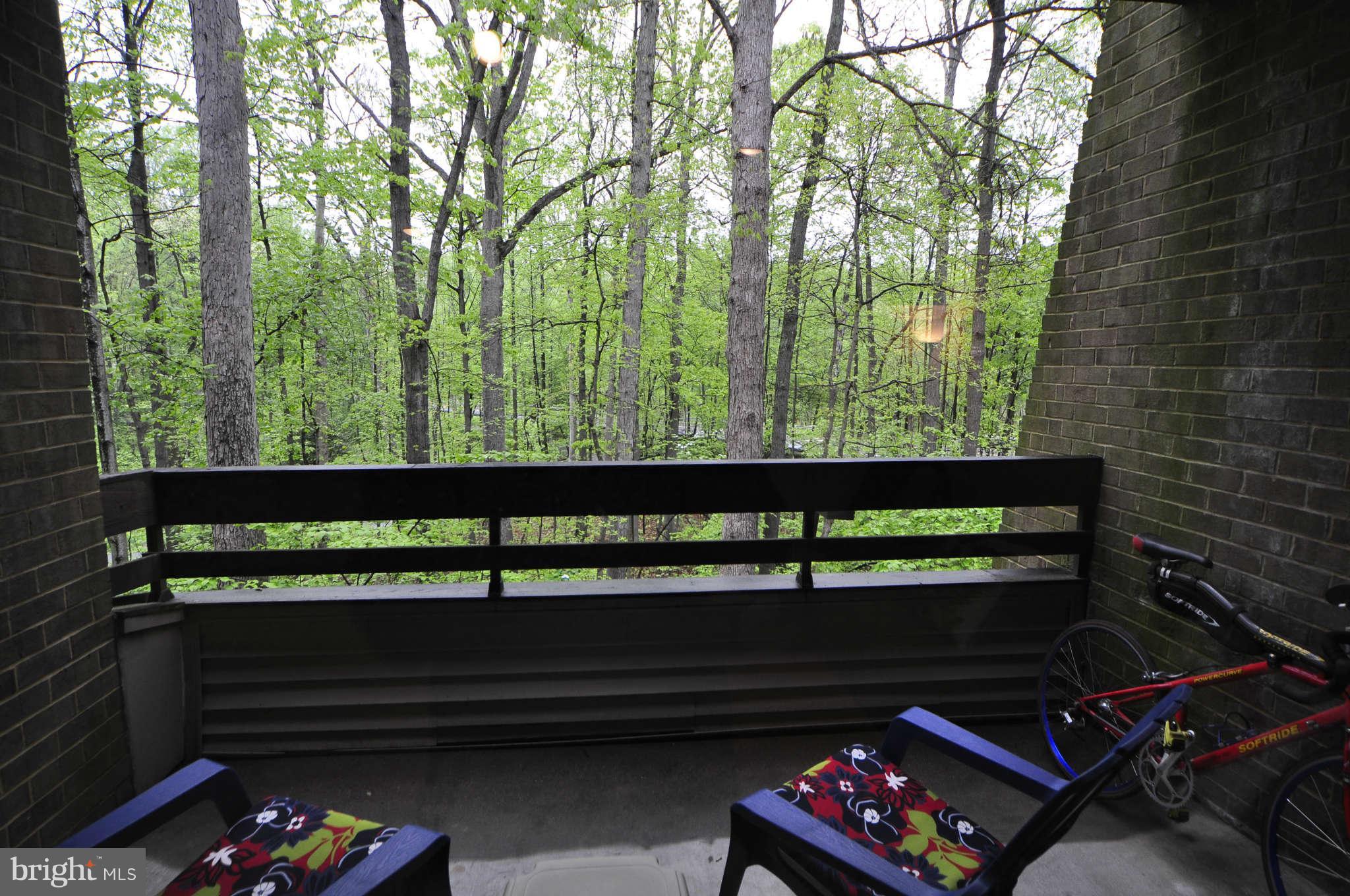 2102 Green Watch Way, Unit 200 Reston, VA 20191 - Photo 16 of 19 View